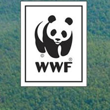 Cómo WSI creó una solución de cliente galardonada en Brasil en tiempo récord